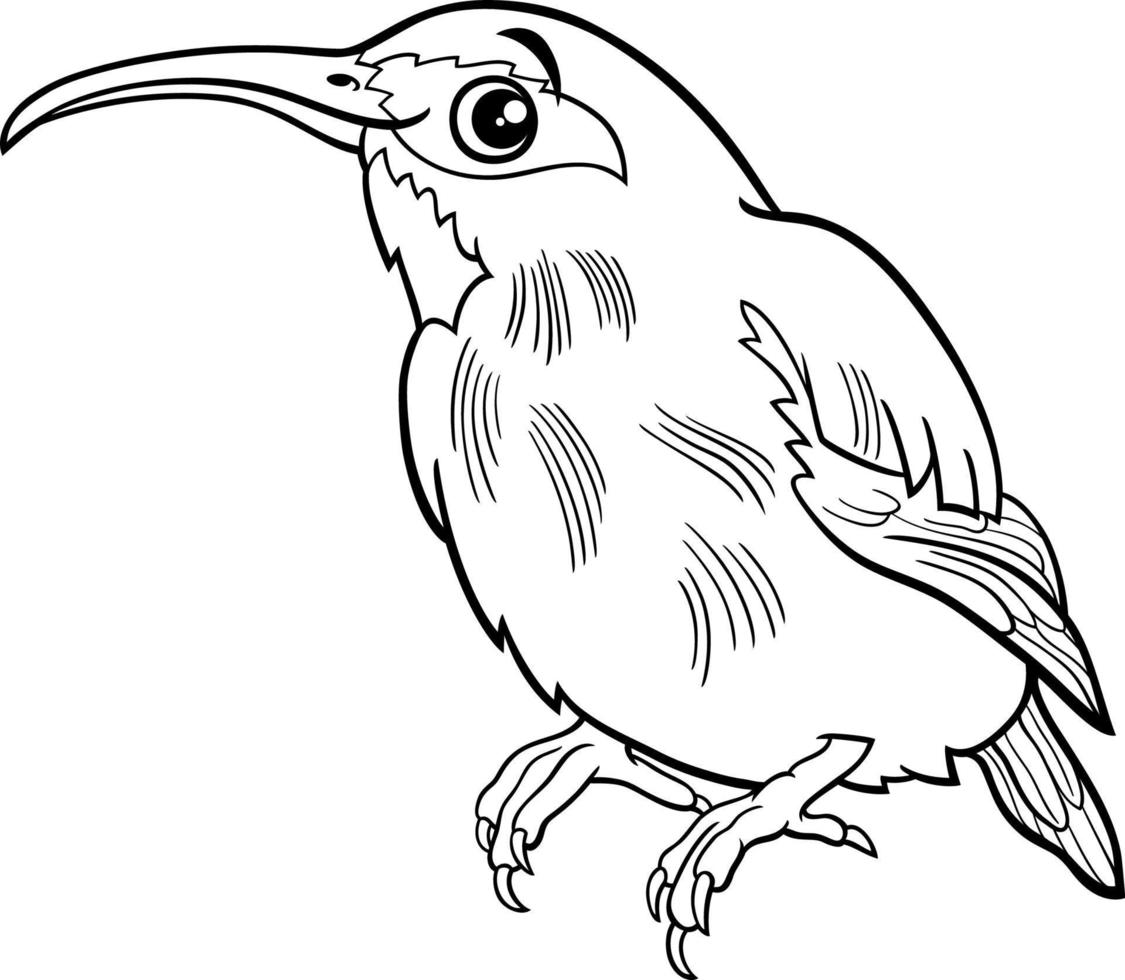 tekenfilm honingkruiper vogel dier karakter kleurplaat vector
