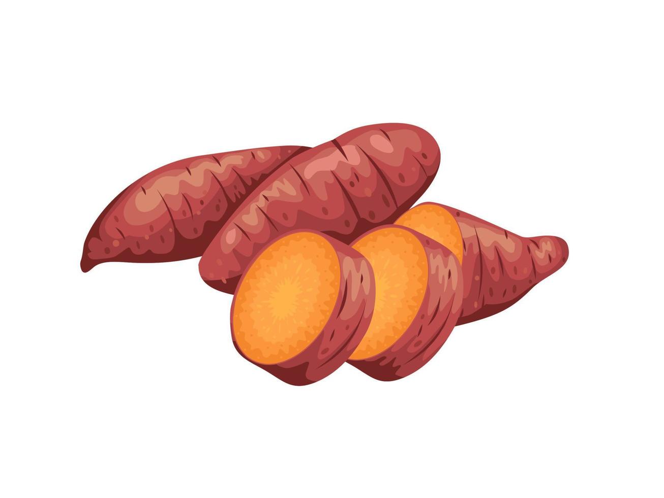 vectorillustratie, zoete aardappel met rode schil, geïsoleerd op wit, geschikt voor posters, websites, brochures en verpakkingen van landbouwproducten. vector