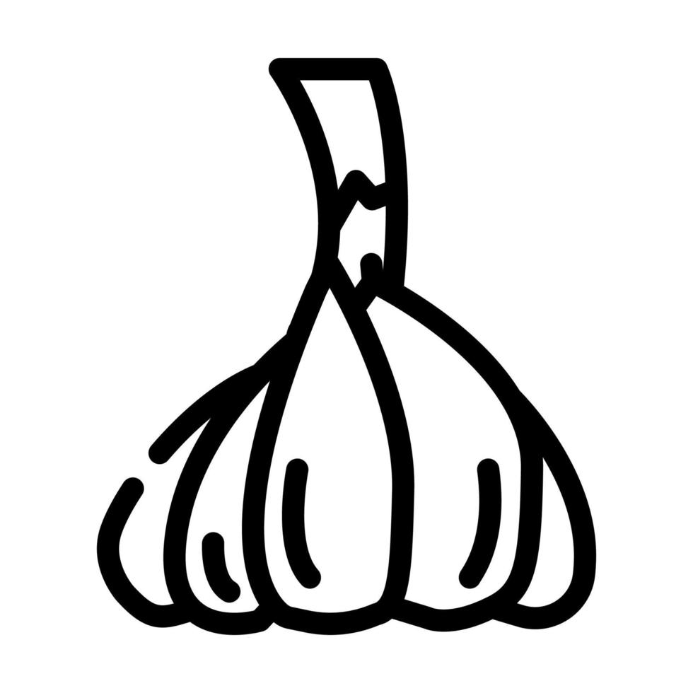 hoofd van knoflook lijn pictogram vectorillustratie vector