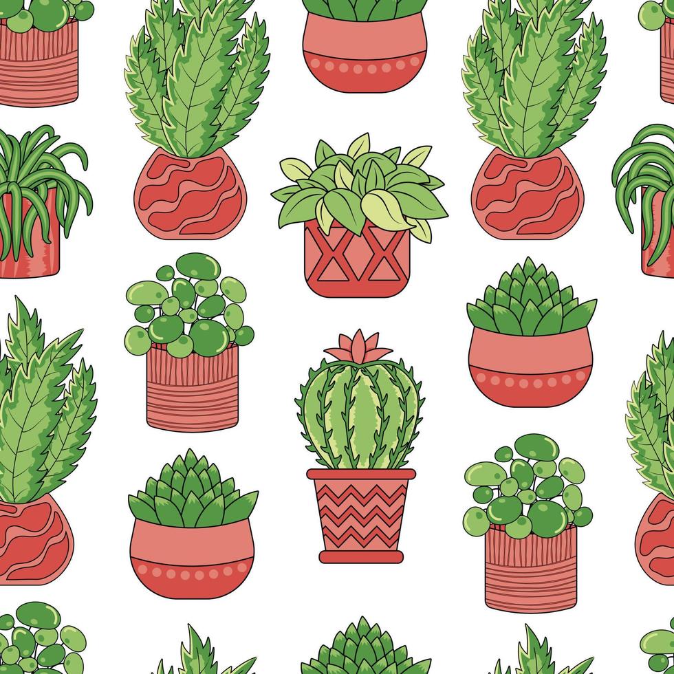 naadloos patroon met huisplanten ficus, cactussen en vetplanten aloë in potten vector