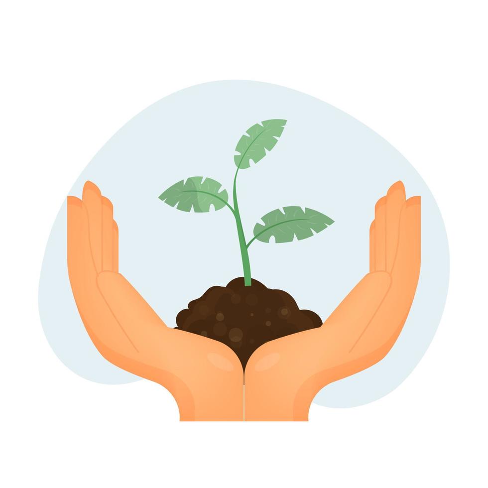 groene plant duurzaamheid illustratie en milieuprobleem symbool met handen met kleine planten. geïsoleerd, vectorillustratie. vector