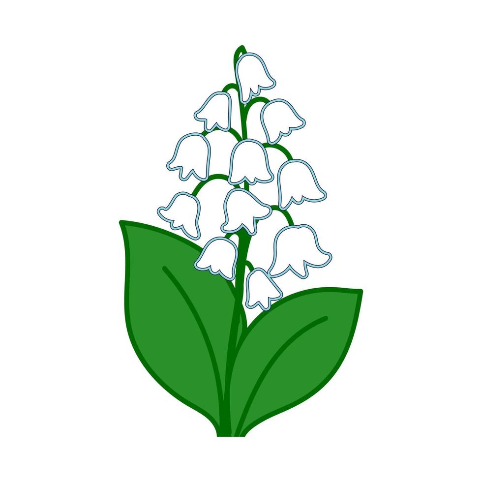 mei lelie, lelietje-van-dalen, lentebloemen met bladeren, witte bloem. handgetekende botanische vectorillustratie geïsoleerd op wit vector