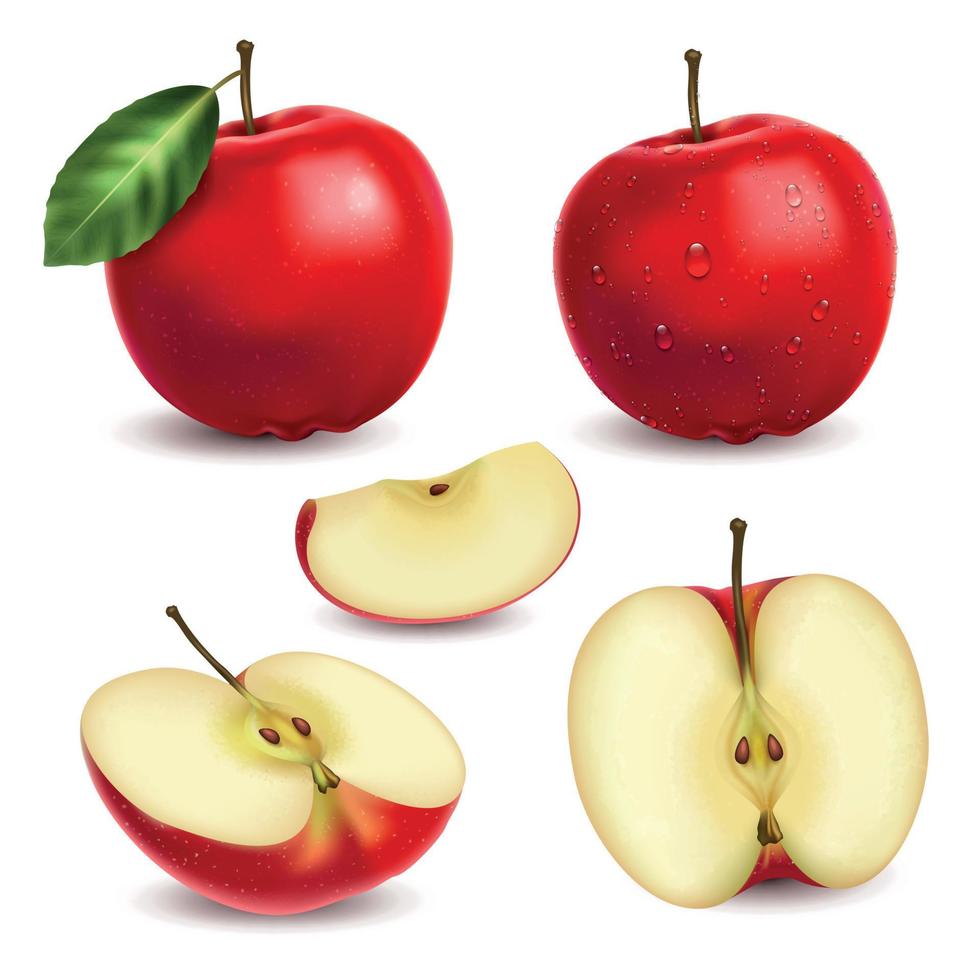 realistische appels set vector