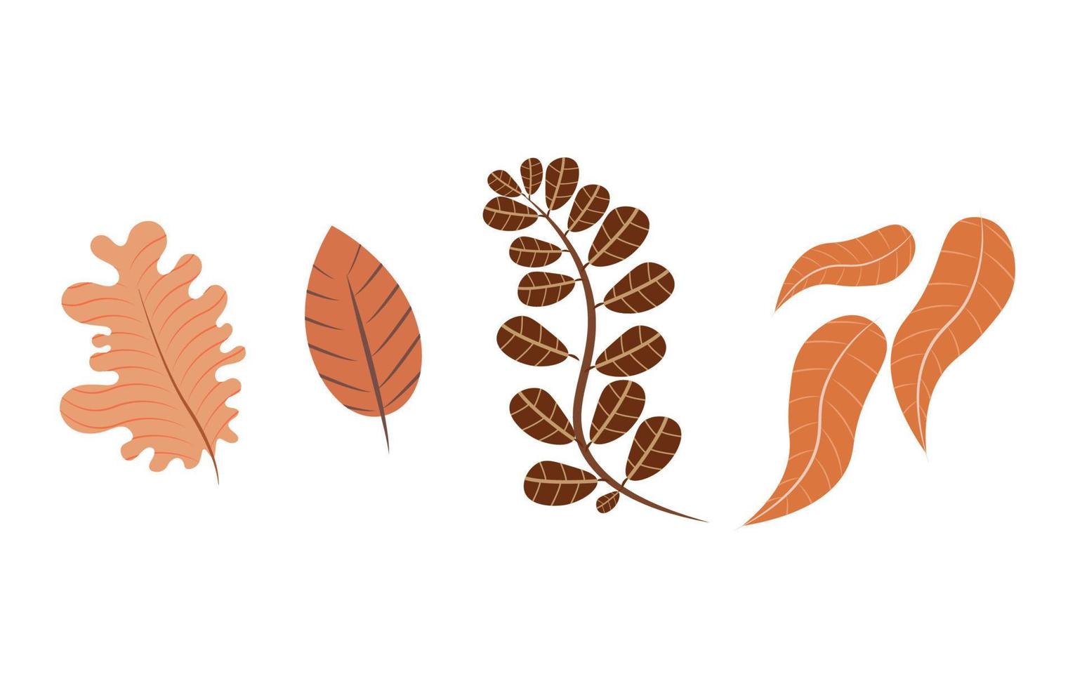 herfstbladeren set, geïsoleerd op een witte achtergrond. bladeren met vervagen textuur, vectorillustratie. goed voor sociale media, promotiemateriaal, advertenties, e-mailmarketing. vector