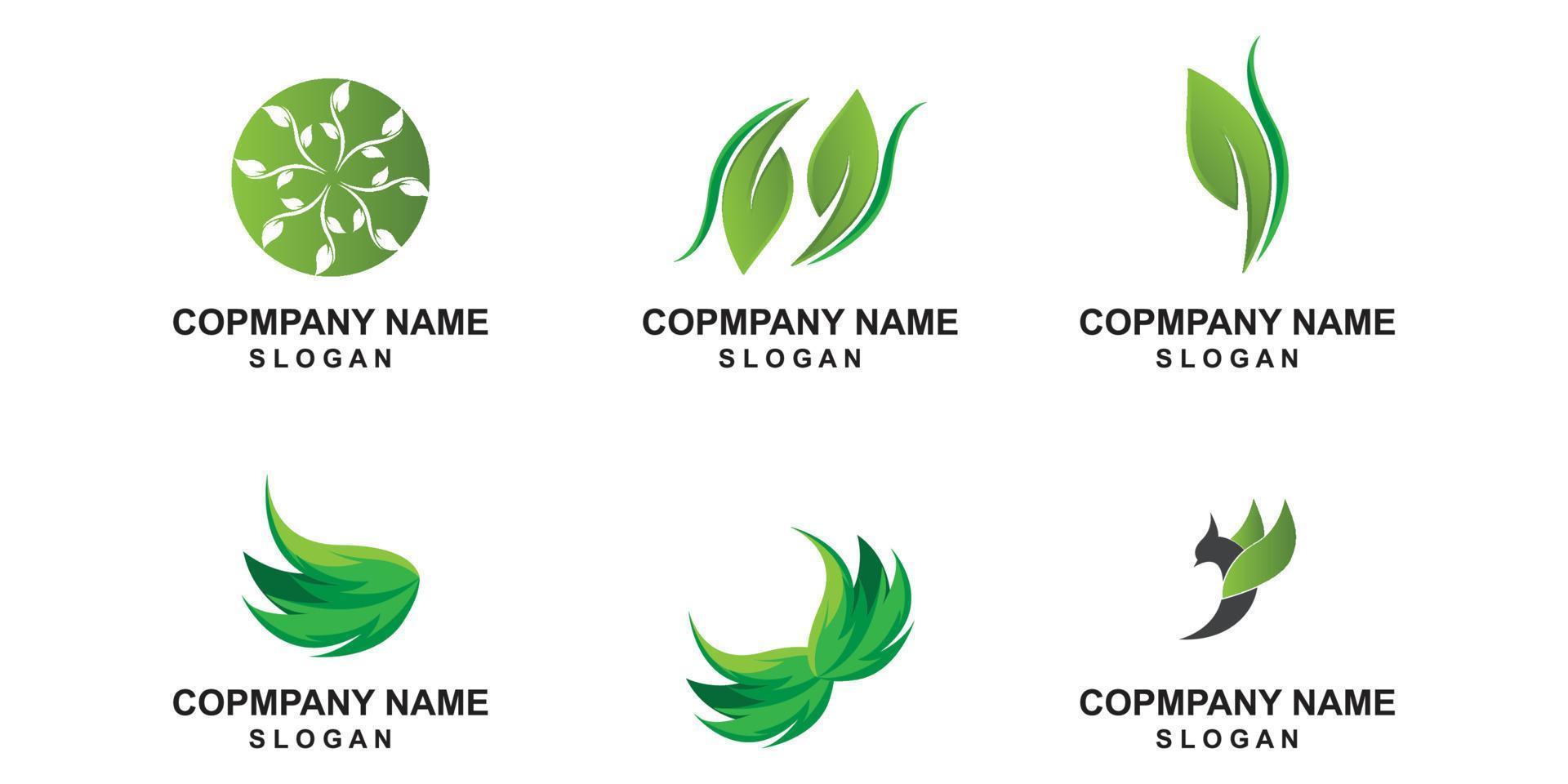 premium kwaliteit groen blad plant logo vector symbool