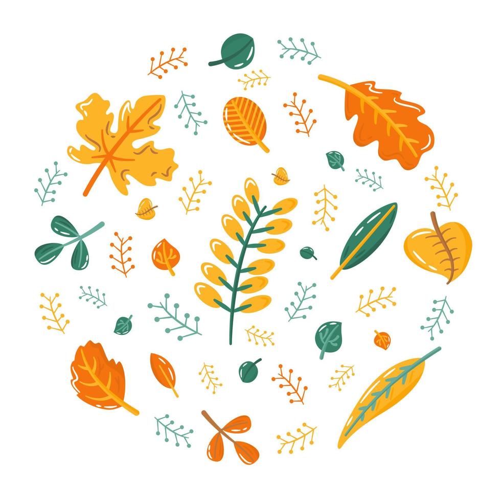 herfstbladeren in cirkel vector set. herfst geel, oranje en groen blad. vlakke afbeelding in cartoon-stijl.