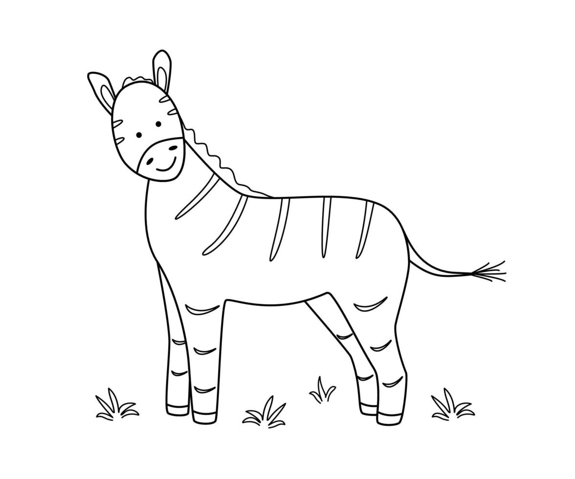 schattige cartoon zebra, kleurboek voor kinderen. vectorillustratie van een Afrikaans dier dat op wit wordt geïsoleerd vector