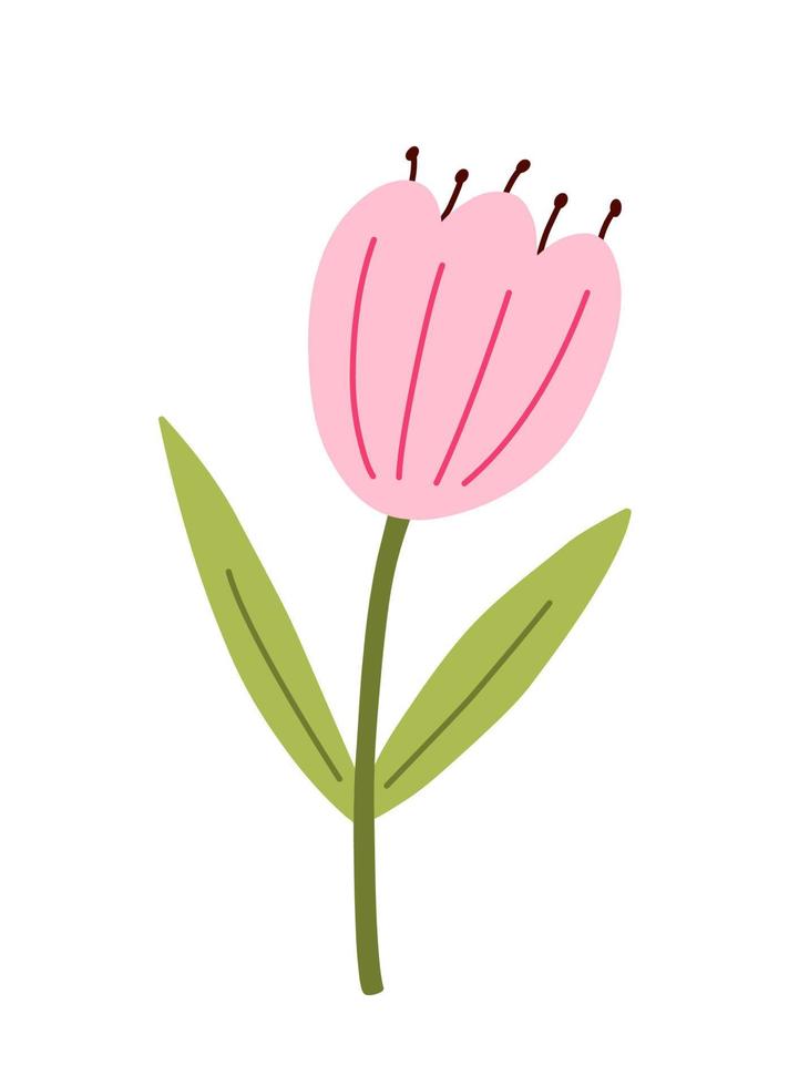 schattige roze tulp met bladeren geïsoleerd op een witte achtergrond. vectorillustratie in handgetekende vlakke stijl. perfect voor kaarten, logo, decoraties, lente- en zomerontwerpen. botanische illustraties. vector