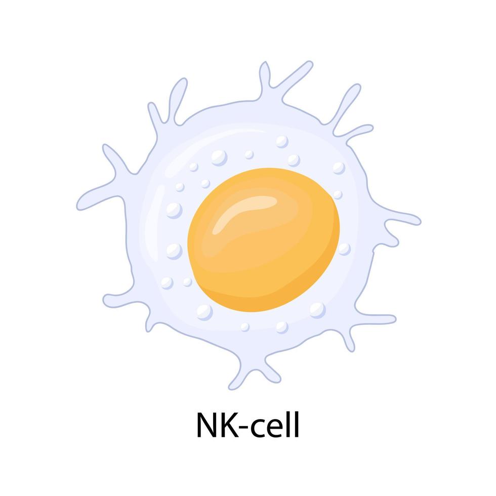 natuurlijke killercellen. vector illustratie