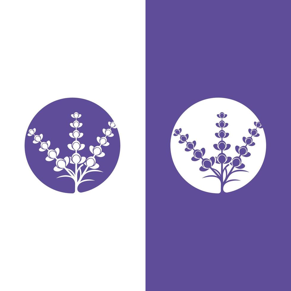 verse lavendel bloem logo vector