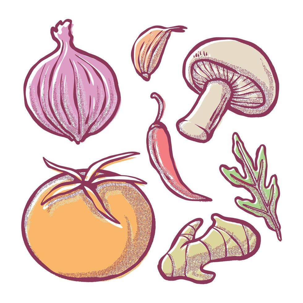 vegetarische illustraties. handgetekende techniek kleur vol vector