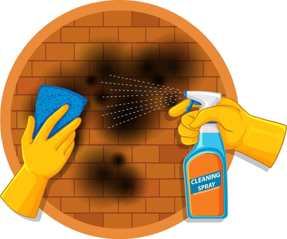 reinigingsspray met schimmel op de muur vector