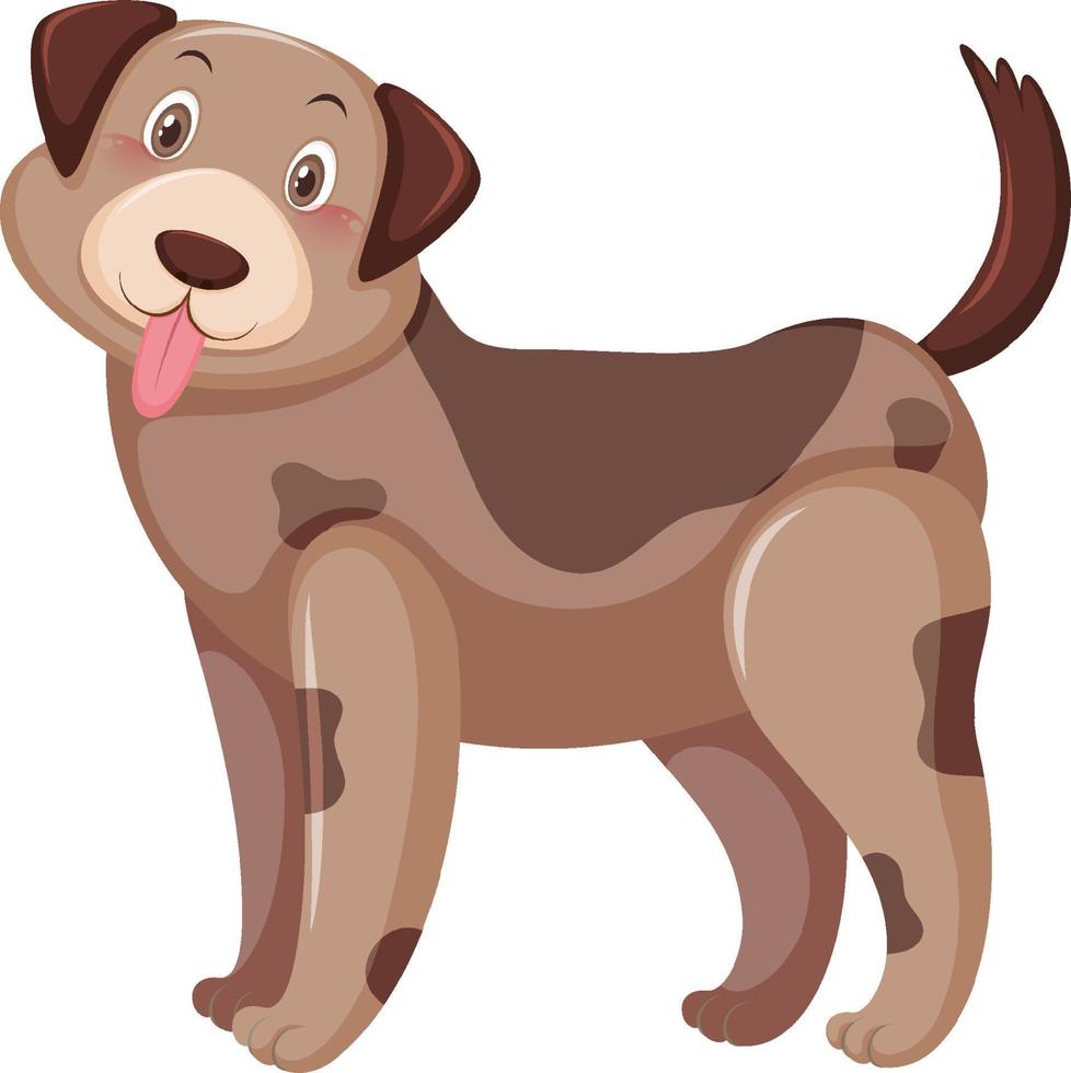 een hond met bruin gekleurde vlekken gemarkeerd vector