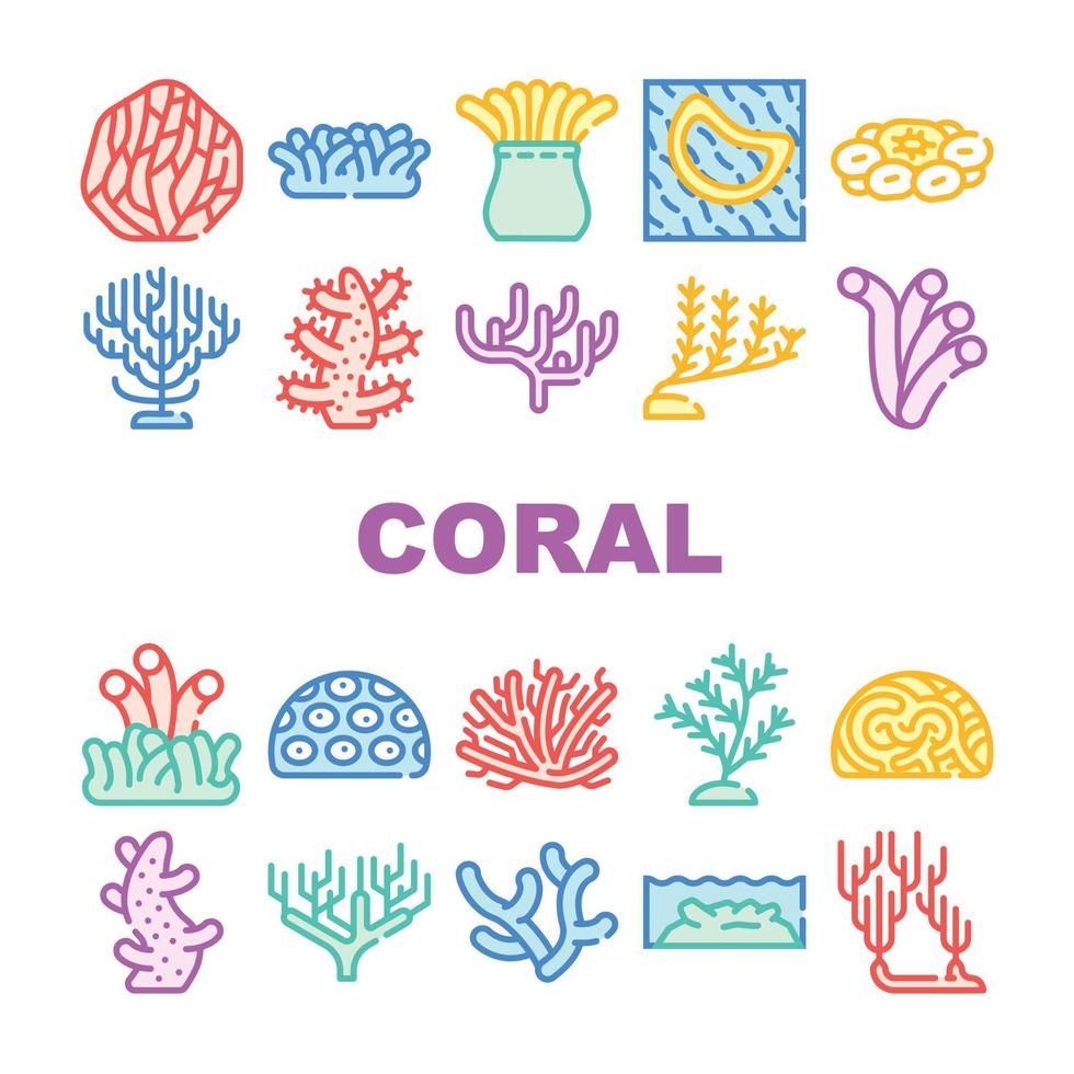 koraal zee aquatisch rif collectie iconen set vector