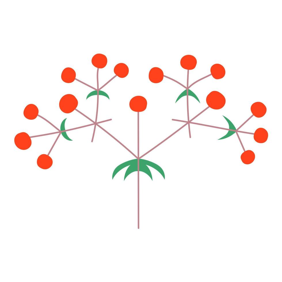 soorten bloem bloeiwijzen in planten op een stengel. vlakke stijl. vector geïsoleerd