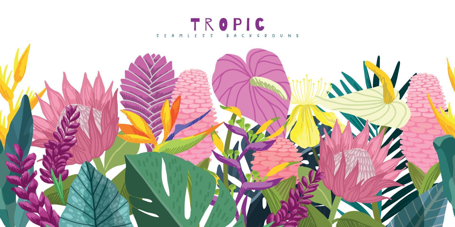 tropische naadloze grens met roze tropische bloemen vector