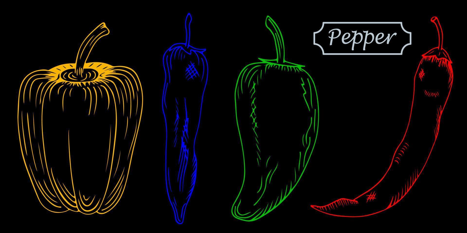 handgetekende set van veelkleurige verschillende soorten paprika's. Bulgaars, zoet, jalapeno, chili geïsoleerd op zwarte achtergrond. schets stijl vector paprika.