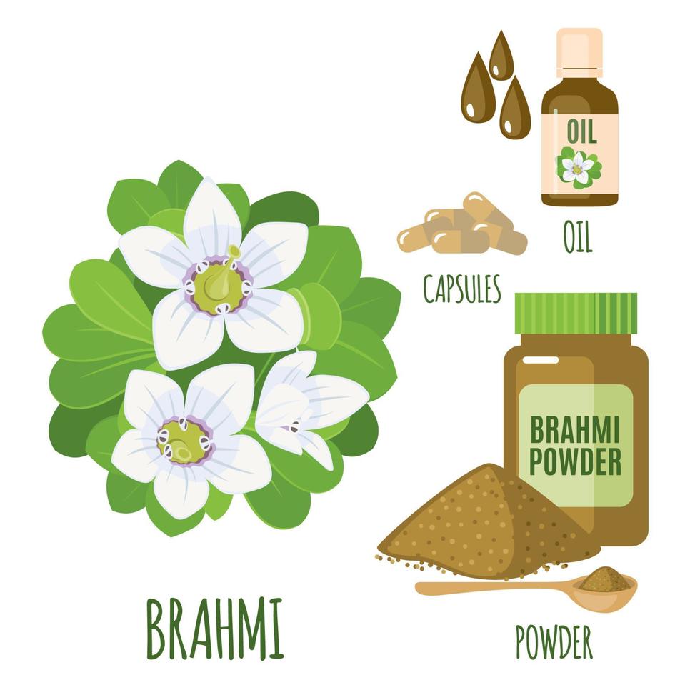 brahmi set met poeder, olie en capsules in vlakke stijl geïsoleerd op een witte achtergrond. bacopa monnieri, waterhysop, gratiola, indische waternavel. geneeskrachtige plant. vectorillustratie. vector