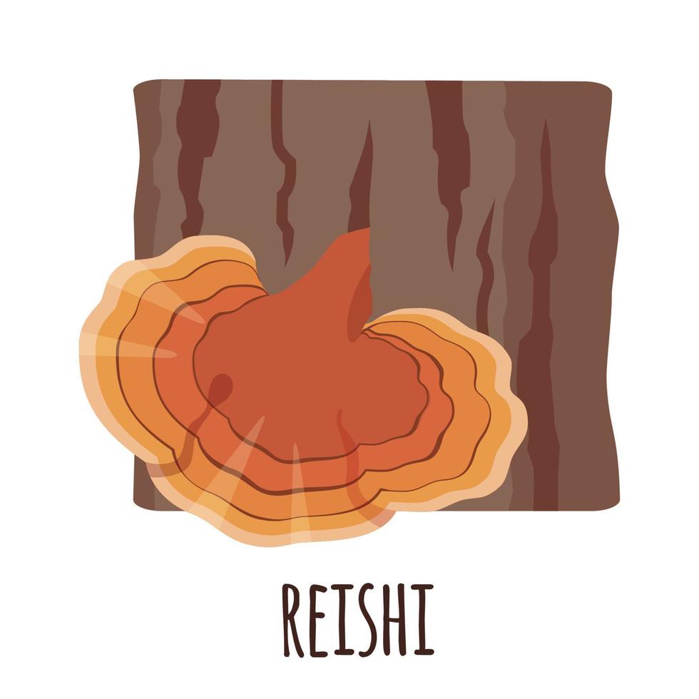 reishi paddestoel - ganoderma lucidum - pictogram in platte styte geïsoleerd op een witte achtergrond. superfood geneeskrachtige plant. vectorillustratie. vector