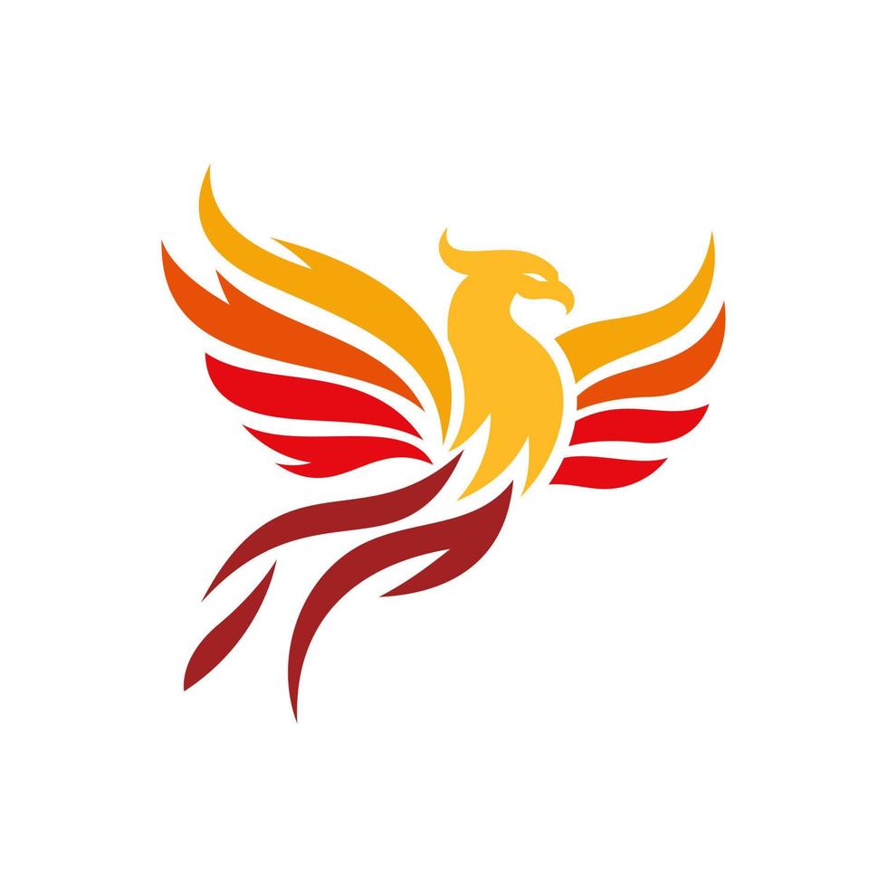 moderne vlammende phoenix logo ontwerpen sjabloon vectorillustratie vector