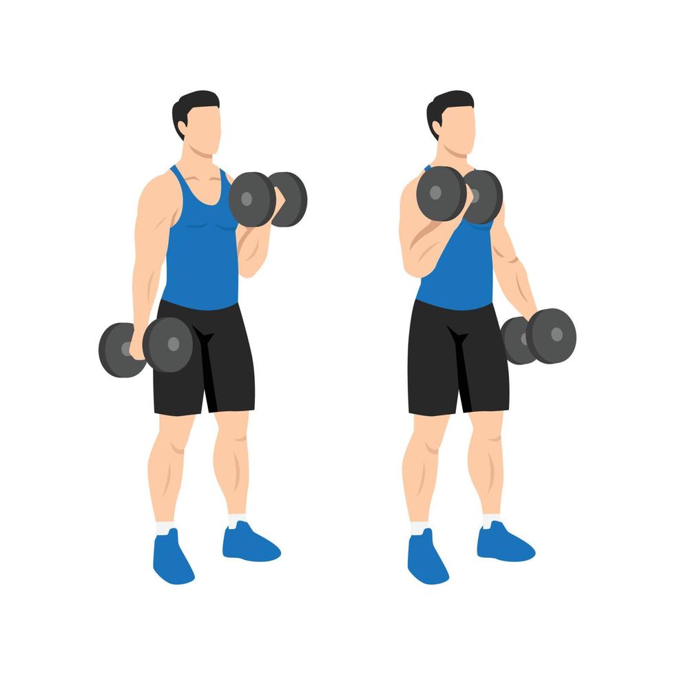 man doet afwisselend dumbbell curl. platte vectorillustratie geïsoleerd op verschillende lagen. training karakter vector