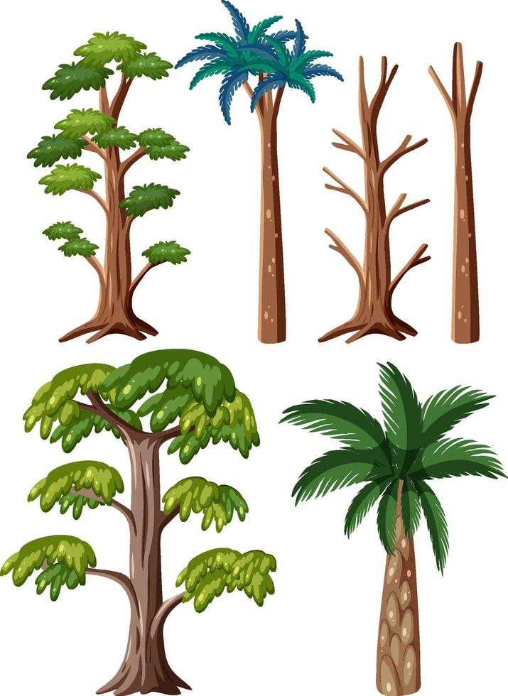 set van verschillende prehistorische bomen vector
