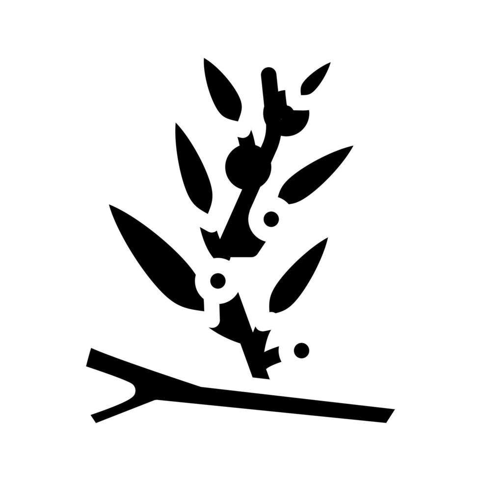 sargassum zeewier glyph pictogram vectorillustratie vector