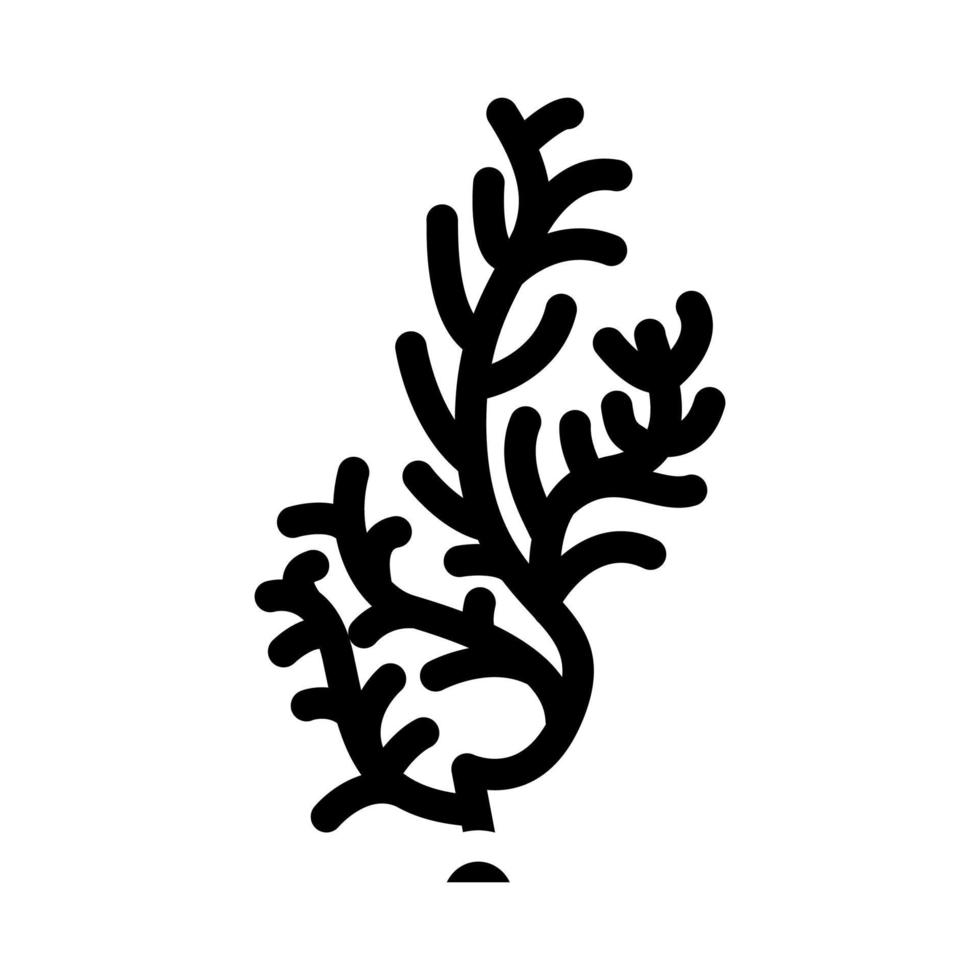 cladophora glomerata zeewier glyph pictogram vectorillustratie vector