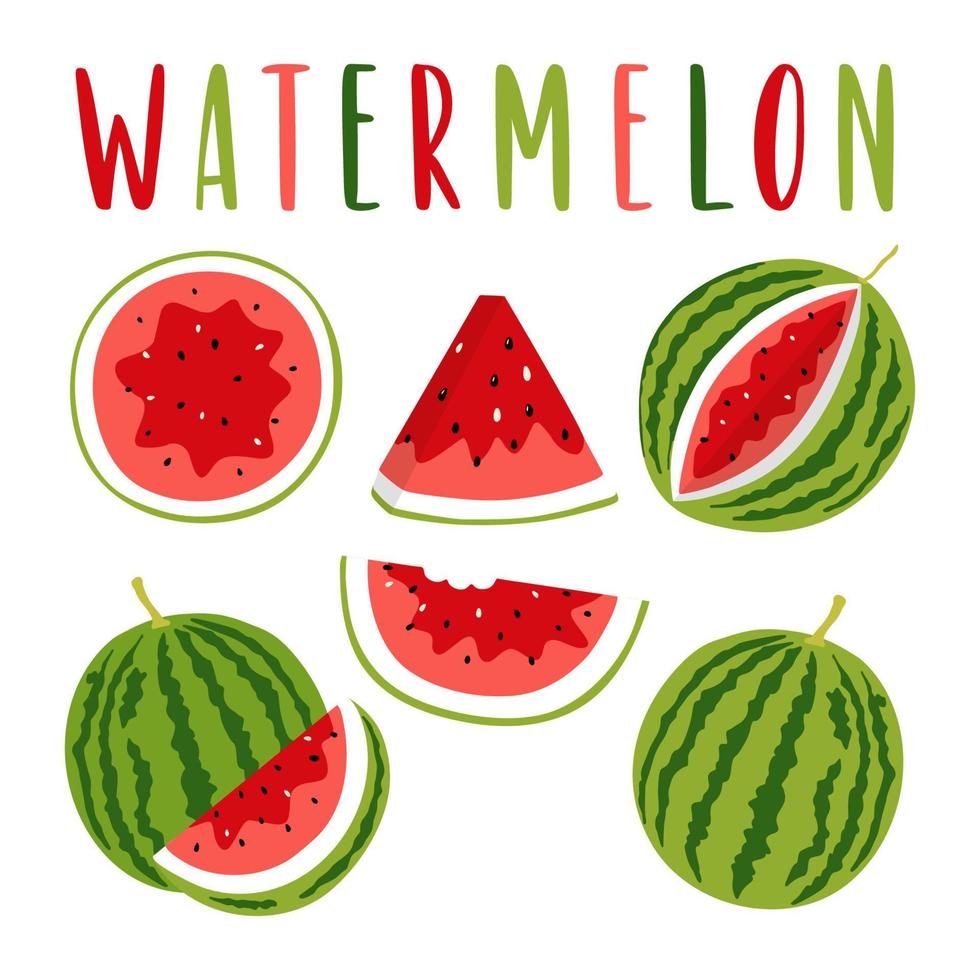 watermeloen illustratie set met belettering, geïsoleerd op een witte achtergrond. hele en gesneden watermeloenen. vector clipart voor uw ontwerp.