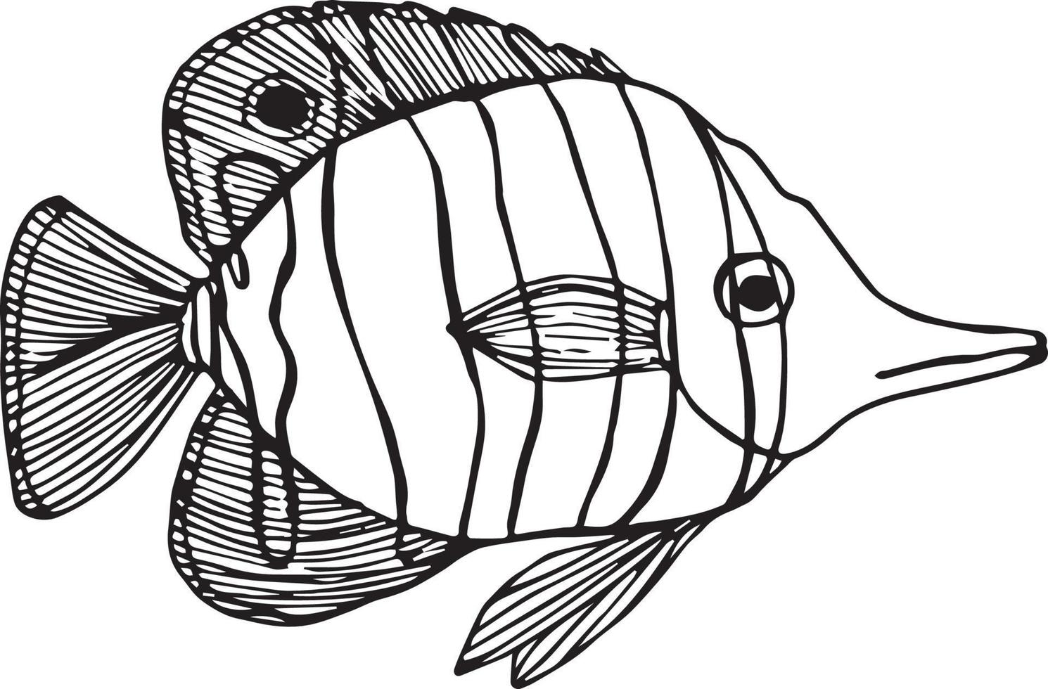 doodle vis op witte achtergrondkleur vector