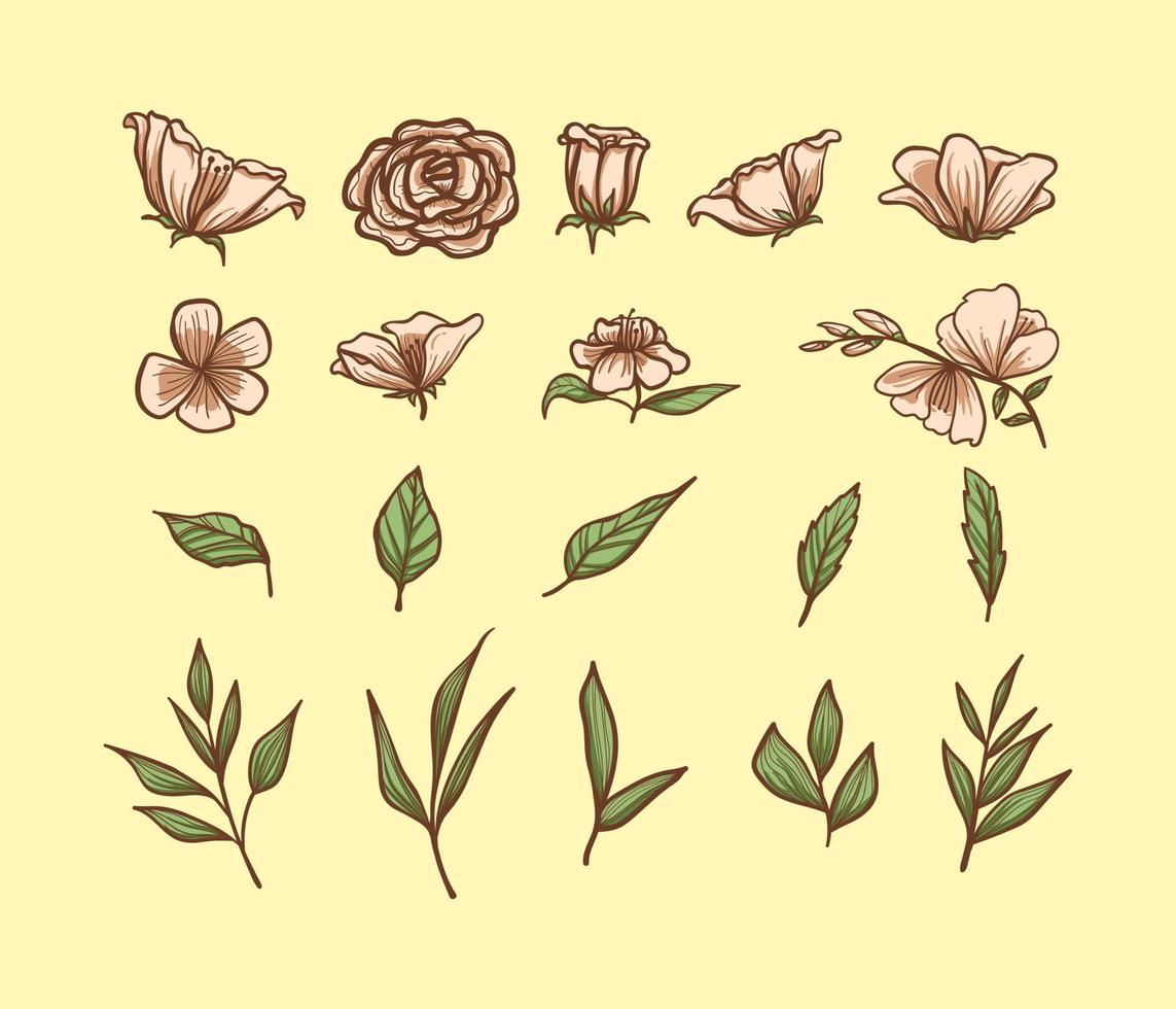 set hand getrokken botanische bloem, blad en takken doodle. vintage botanische bloemen illustratie. vector