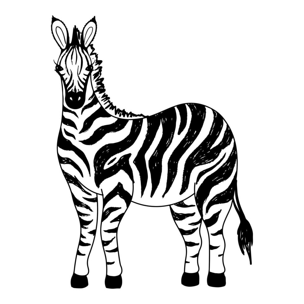 een handgetekende schets van een zebra vector