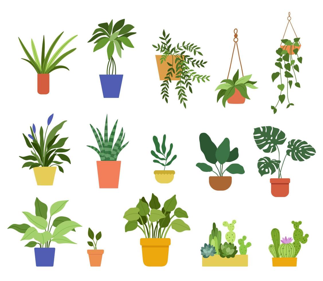 handgetekende kamerplanten in potten. set van vectorillustraties in vlakke stijl geïsoleerd op een witte achtergrond vector