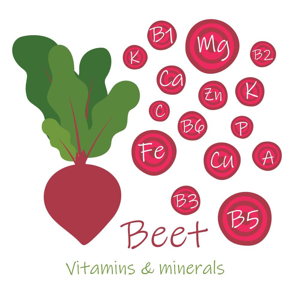 verse rode biet met groene bladeren, gezonde voeding, vectorpictogram. vitamines en mineralen. gezondheidsvoordelen van bieten. vector