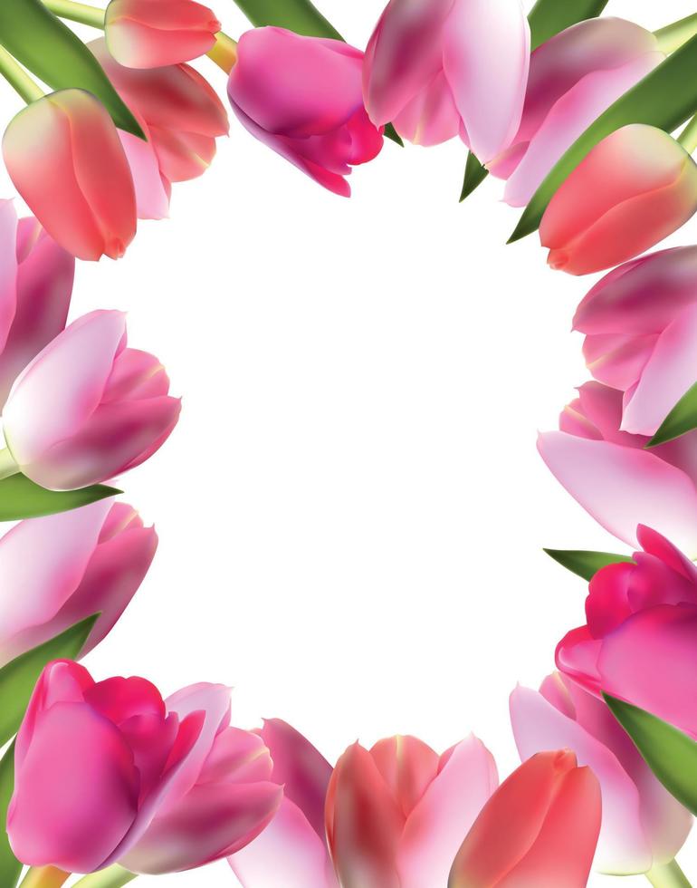 mooie roze realistische tulp frame vectorillustratie vector