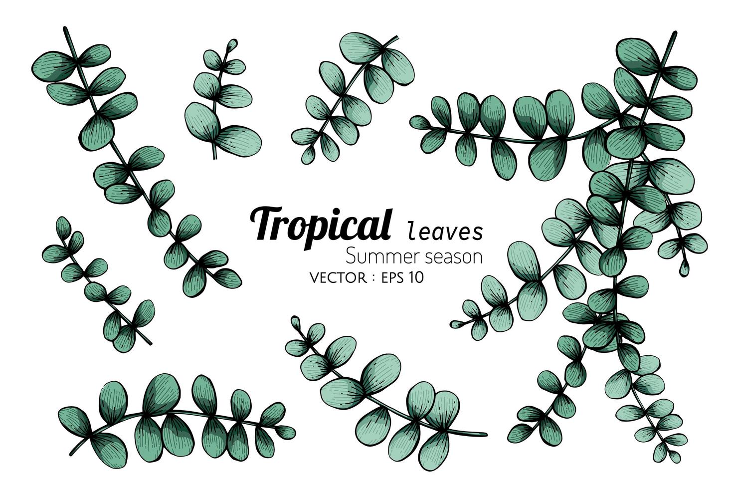 set van lichtgroene tropische bladeren vector