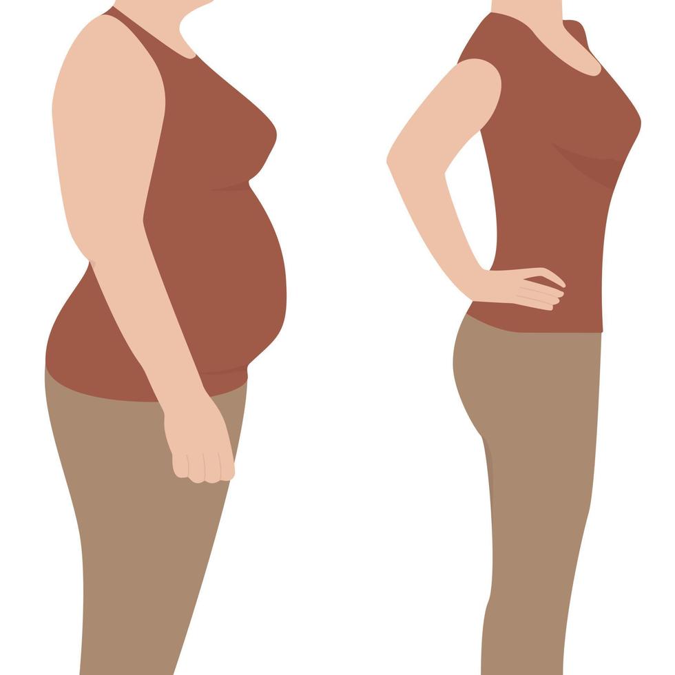 voor en na. vrouw met overgewicht en een vrouw met een slanke taille. vlakke stijl. vector illustratie