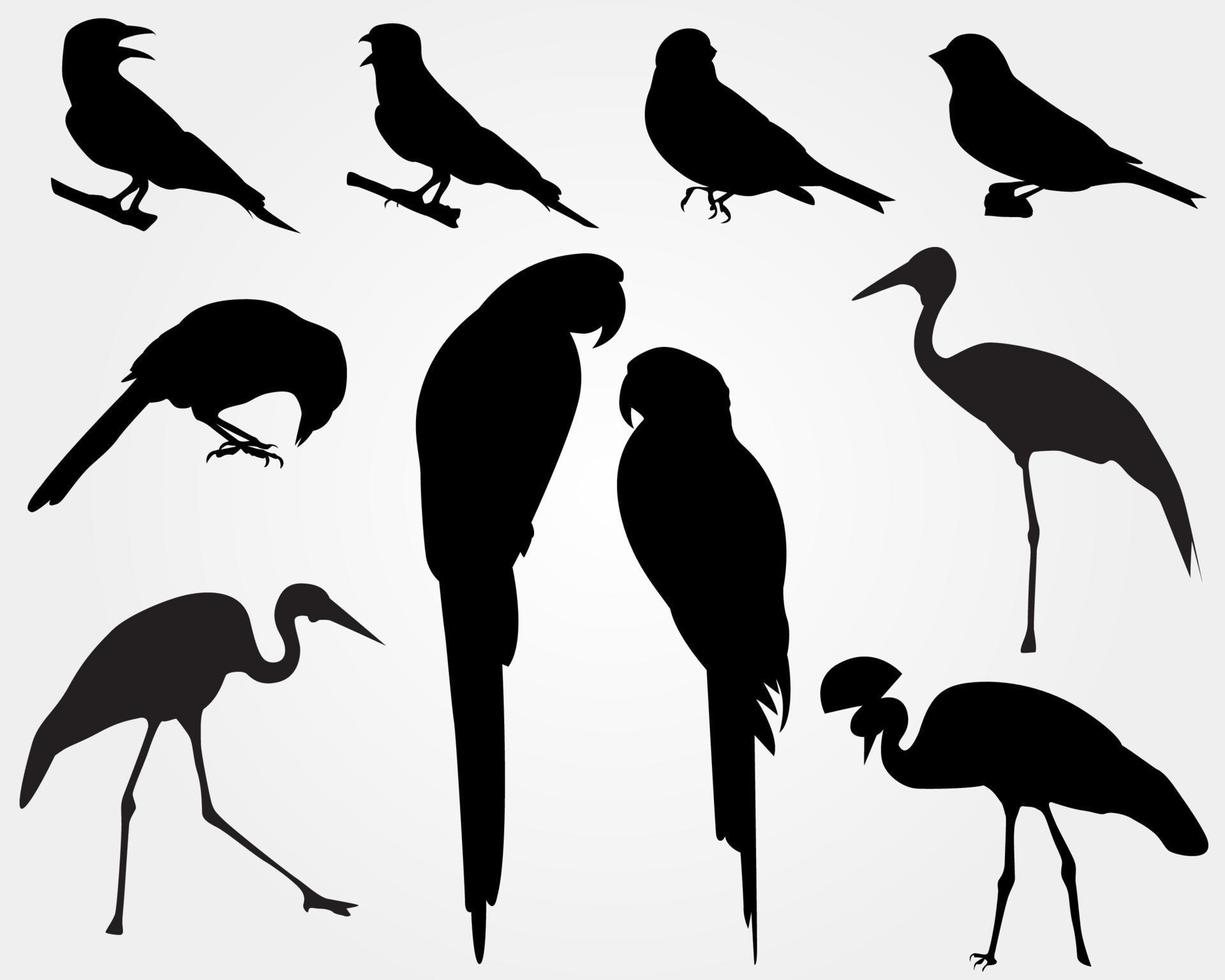 set van een zwarte vogel silhouet vector