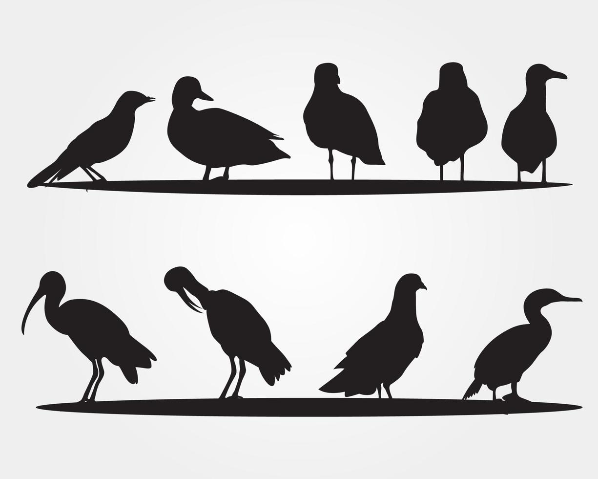 set van een zwarte vogel silhouet vector