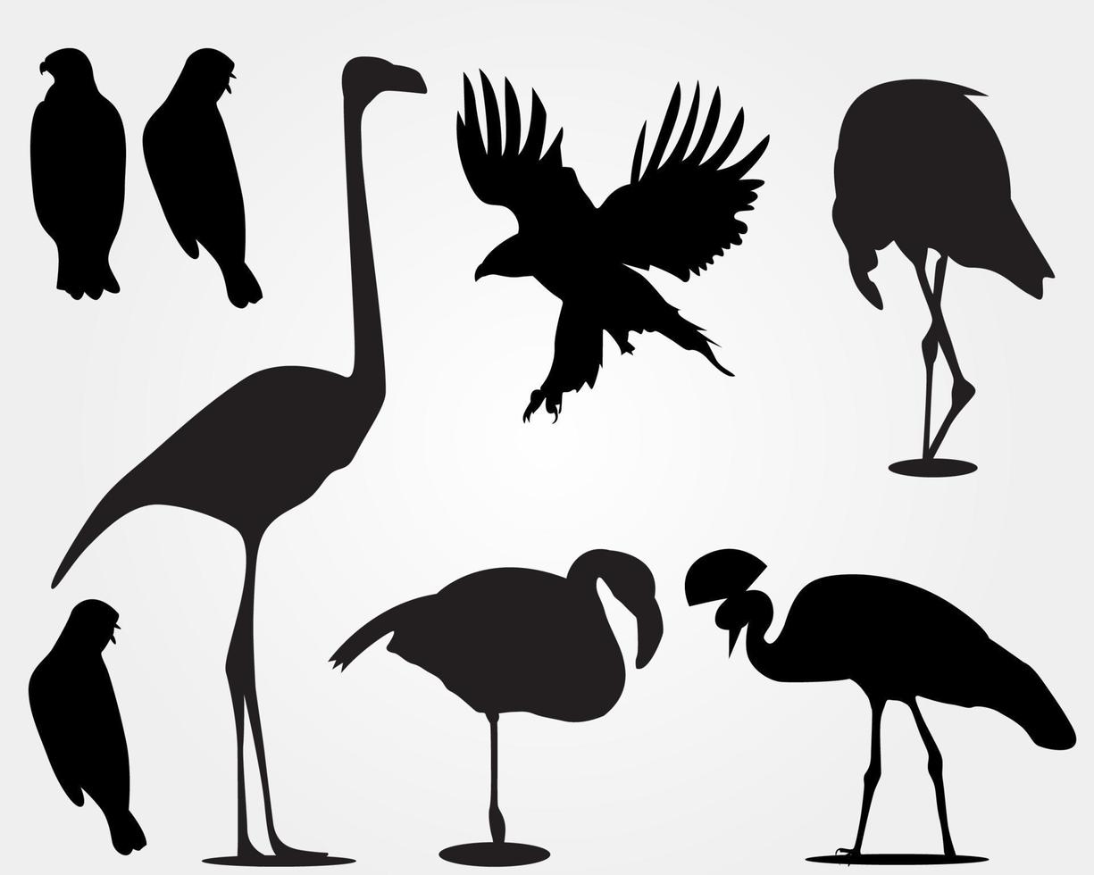 set van een zwarte vogel silhouet vector