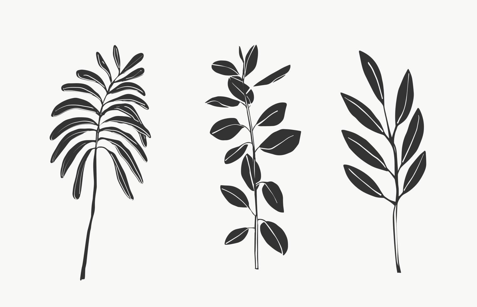 tropische bladeren en botanische bladerenkunst. mooie hand getekende exotische planten op witte achtergrond. abstracte moderne of minimale plantenlijn voor posters. vector ontwerp