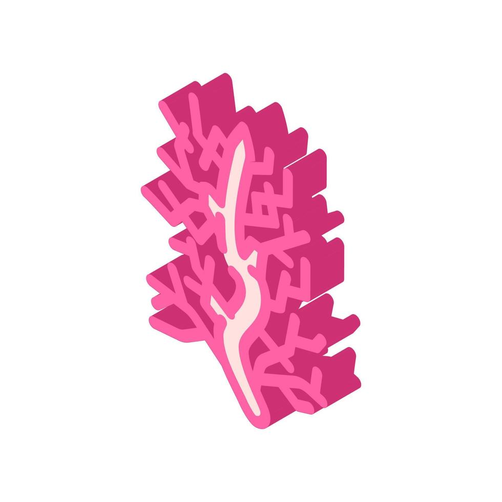 carrageen voedseladditieven isometrische pictogram vectorillustratie vector