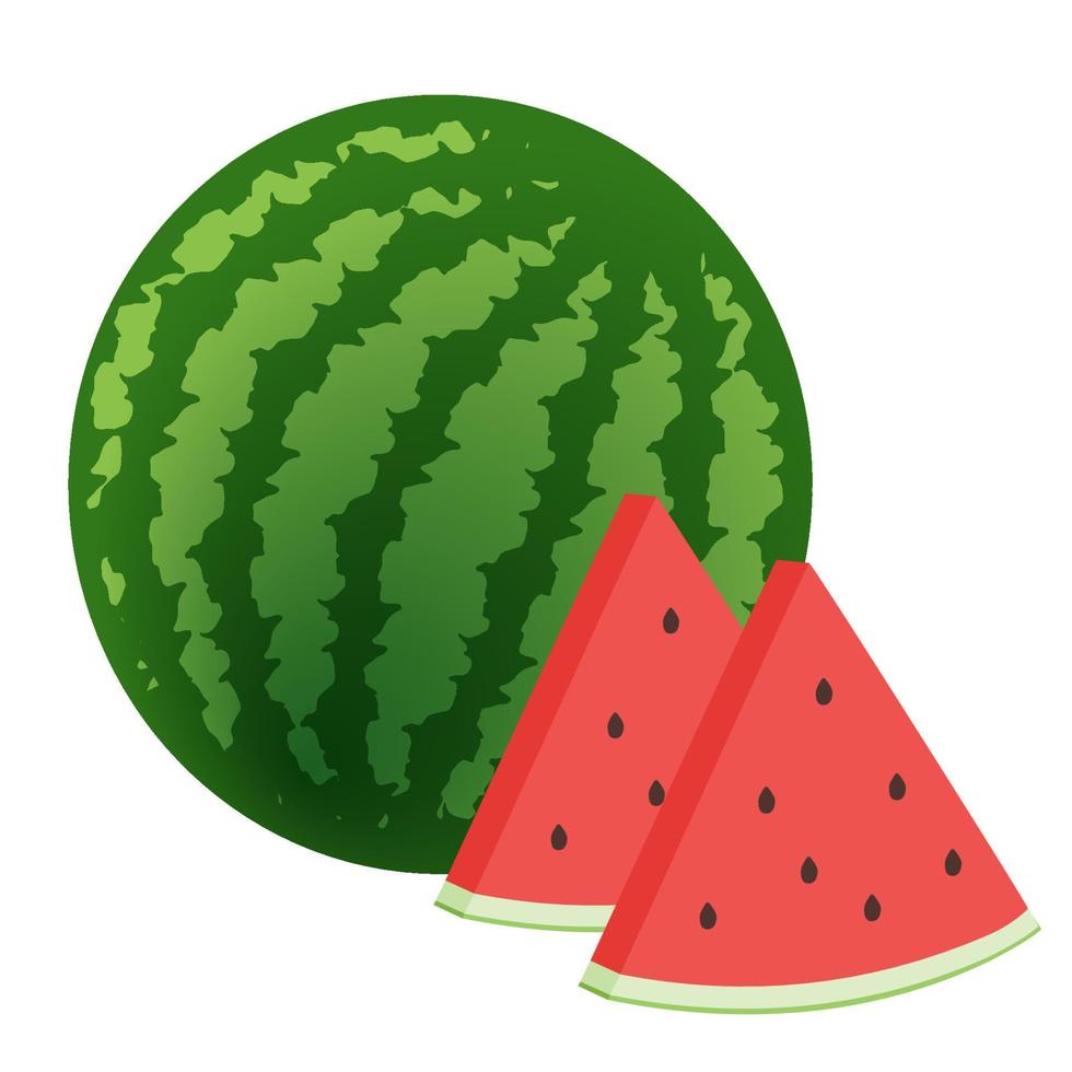 een hele rijpe groene watermeloen en wat rode sappige plakjes. vector