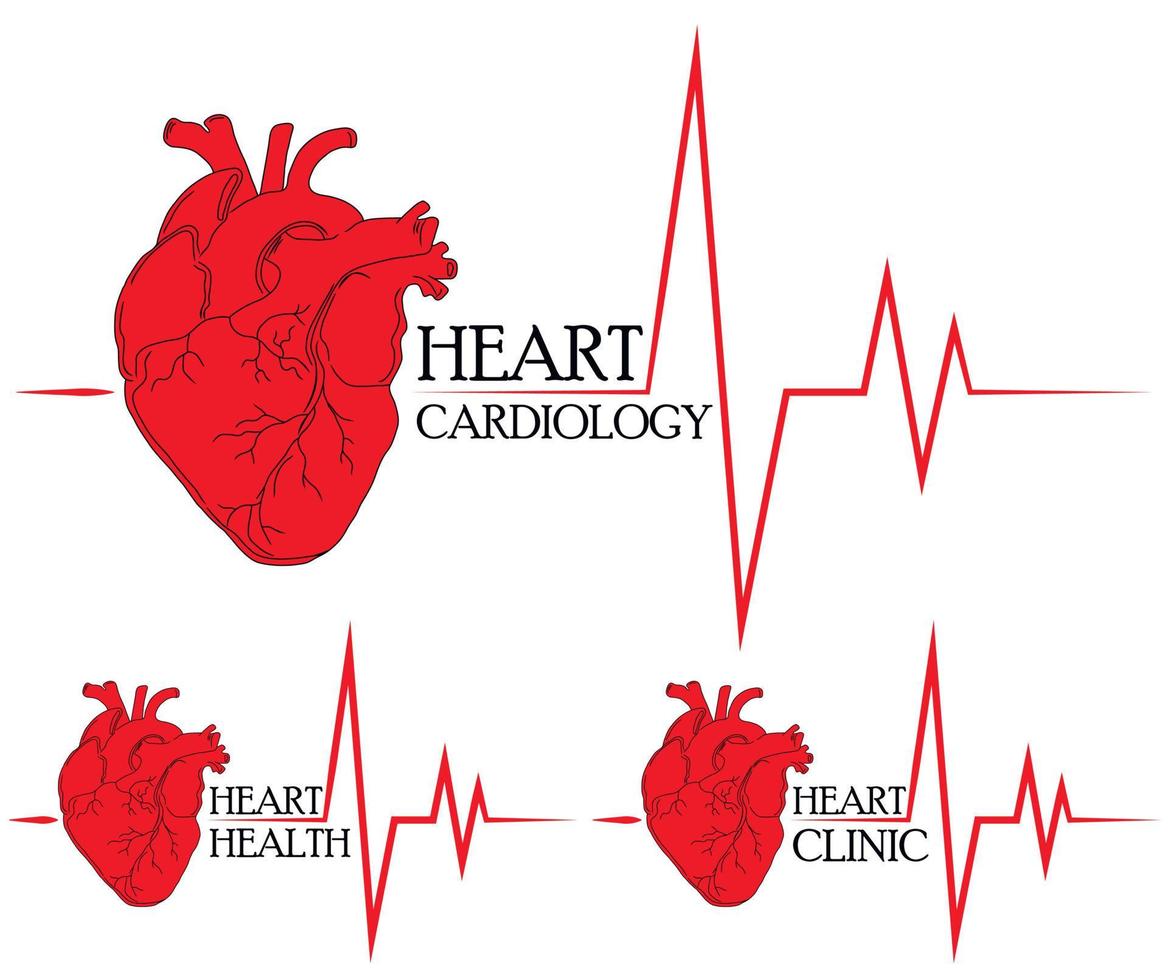 anatomische tekening van het hart. achtergrond voor brochures, boekjes, flyers. set van rode harten pictogrammen voor hartkliniek, hartgezondheidscentrum en hartcardiologie. vector