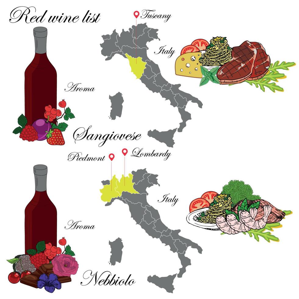 sangiovese en nebbiolo. de wijnkaart. een illustratie van een rode wijn met een voorbeeld van aroma's, een wijngaardkaart en gerechten die bij de wijn passen. achtergrond voor menu en wijnproeverij. vector