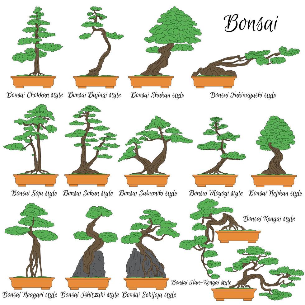 bonsai. verschillende stijlen van miniatuurbomen. de kunst van het kweken van dwergplanten. vector