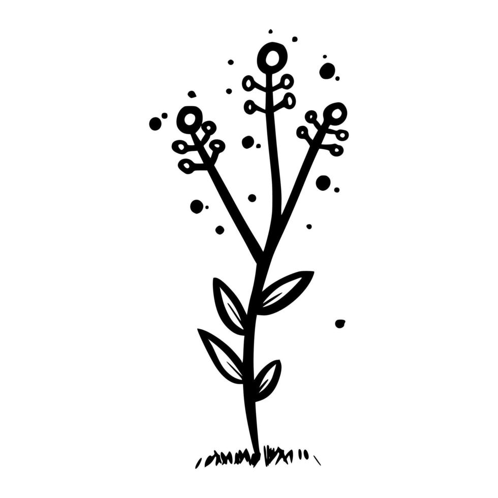 bloemen hand getekende vectorillustratie vector