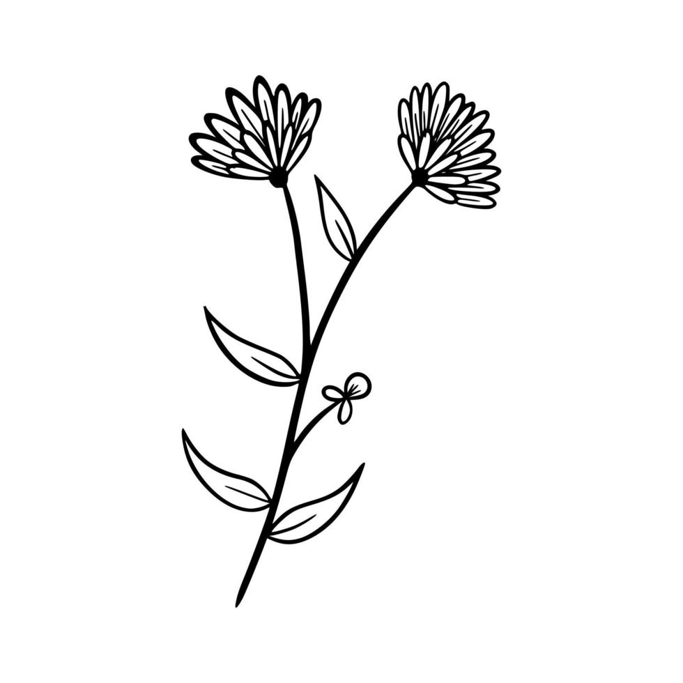 bloemen hand getekende vectorillustratie vector
