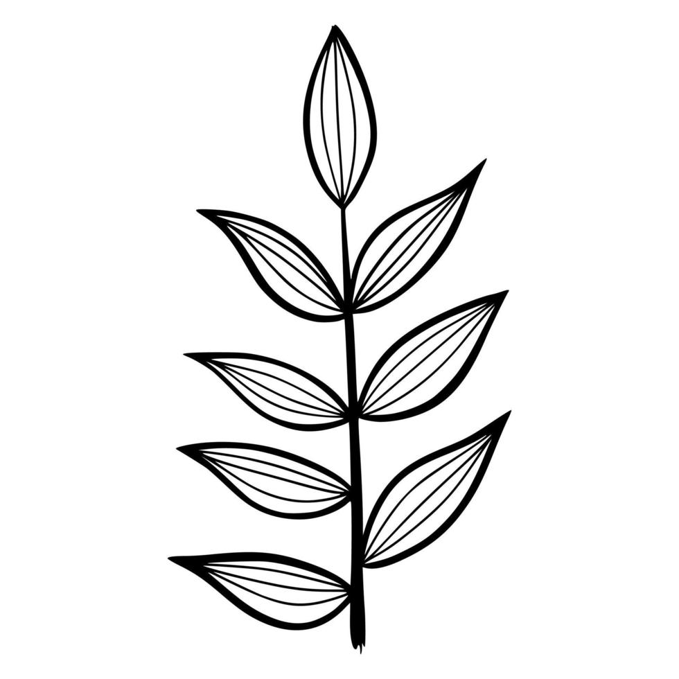 bloemen hand getekende vectorillustratie vector