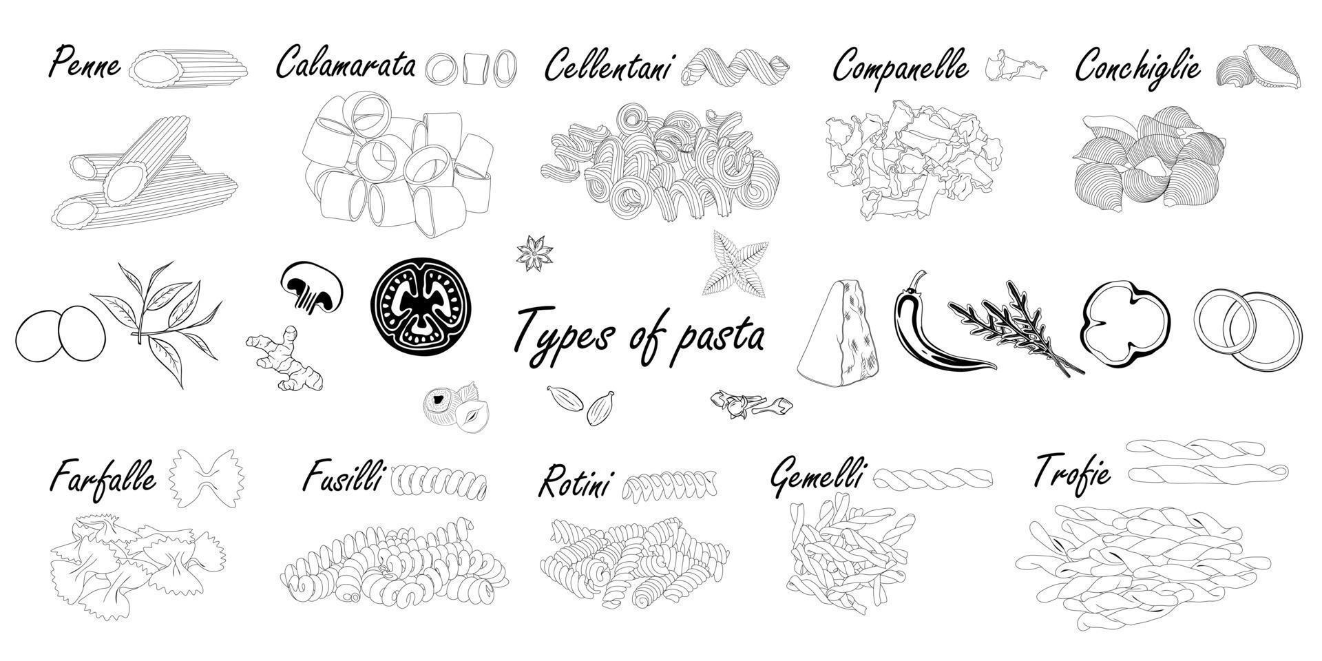 soorten pasta. kort pastaverschil, illustratievoorbeeld met ingrediënten. zwart en wit. vector